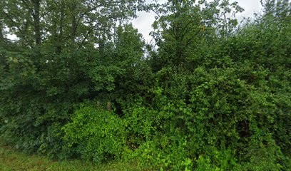 Arcoetanche, Entrepreneur en Isolation à Savigny-sur-Aisne