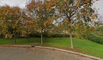 ACEI étanchéité, Entrepreneur en Isolation à Saint-Hilaire-de-Brethmas