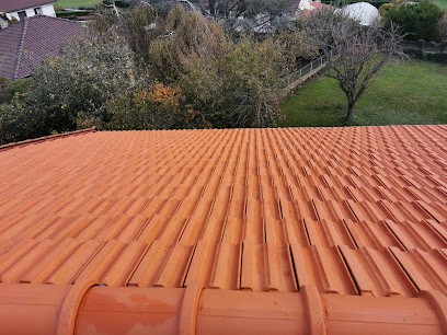 DUPUY TRAITEMENT - Traitement Charpente - Isolation - Nettoyage Toiture, Entrepreneur en Isolation à Roanne