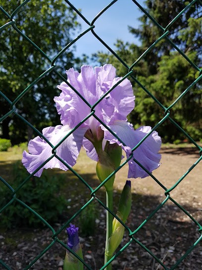 Aurélien Thevenet, Entrepreneur en Isolation à Serrières-en-Chautagne
