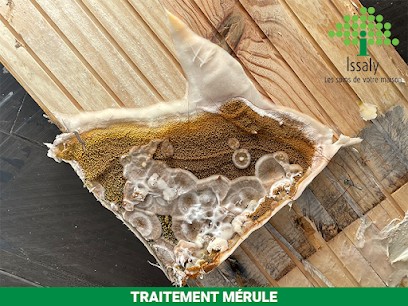Issaly Isolation Des Combles, Traitement Bois Et Charpente, Traitement Termites, Champignons Lignivores, Assèchement Des Murs, Entrepreneur en Isolation à Villemoustaussou